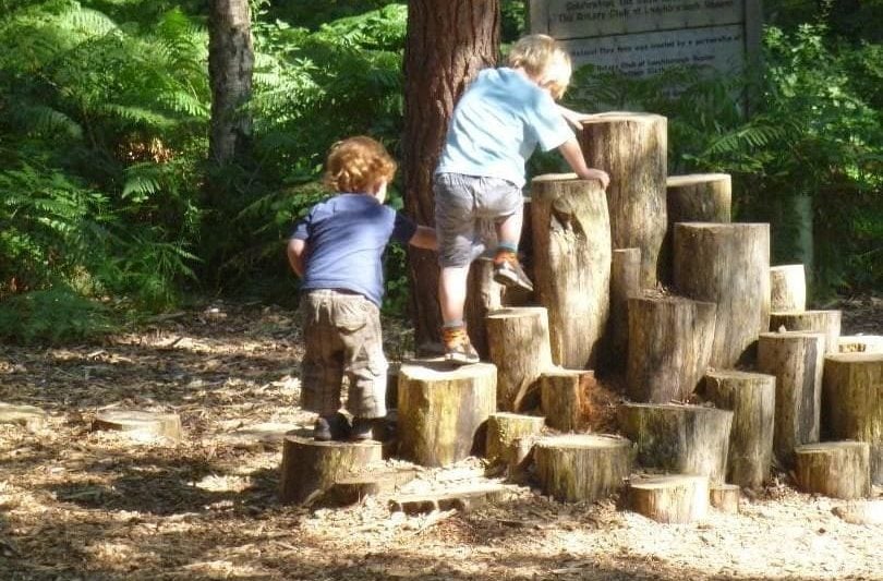 Landscaping Woodland Gardens (children On Logs)